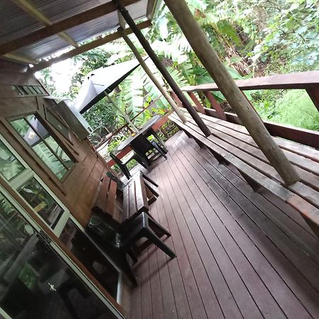 מורגנ'ס ביי Yellowwood Forest Eco Retreat מראה חיצוני תמונה