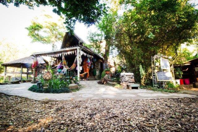 מורגנ'ס ביי Yellowwood Forest Eco Retreat מראה חיצוני תמונה